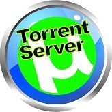 Torrent Server